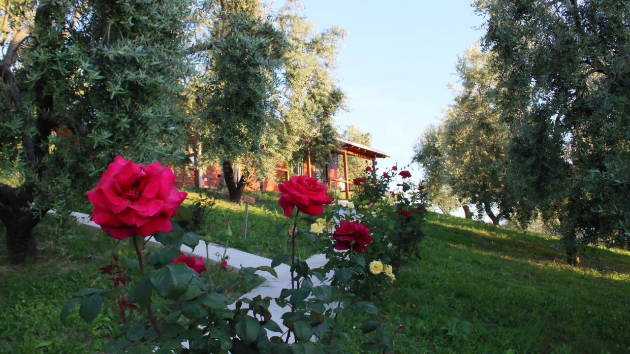 Hotel Agroturizem Bylis Hekal Exteriér fotografie