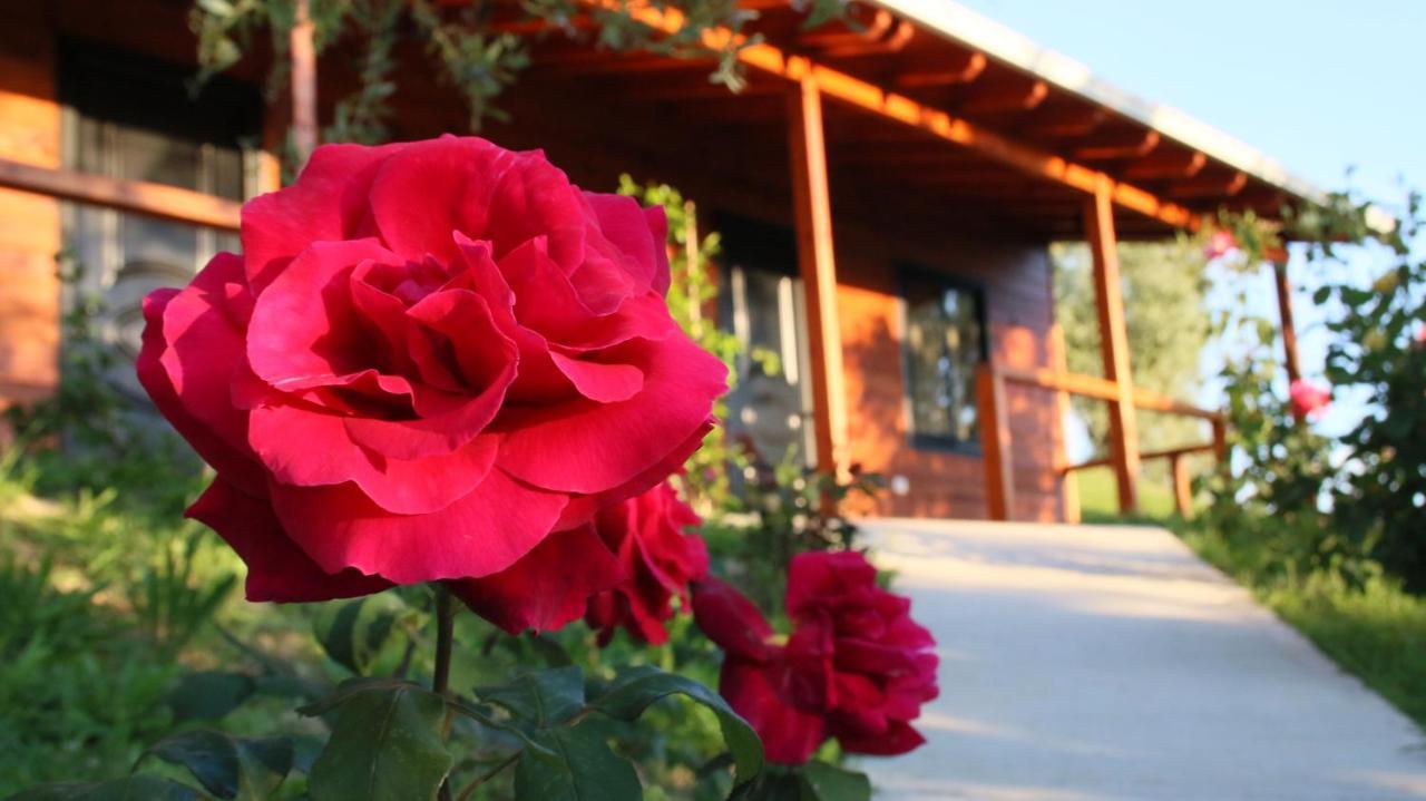 Hotel Agroturizem Bylis Hekal Exteriér fotografie