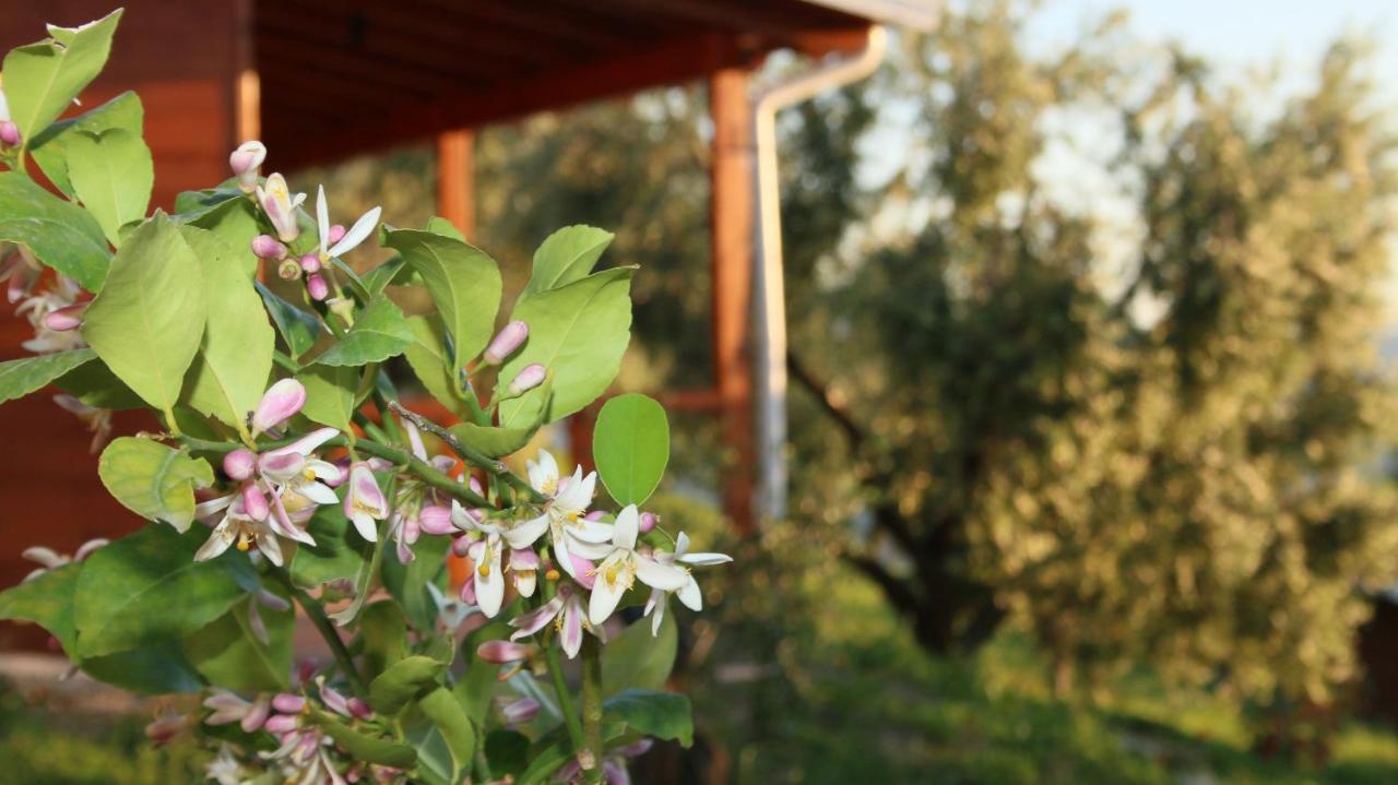 Hotel Agroturizem Bylis Hekal Exteriér fotografie