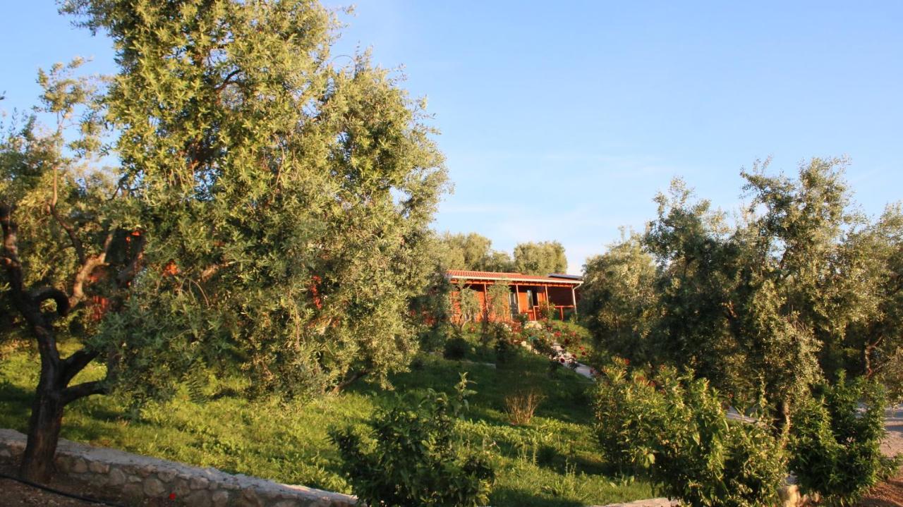 Hotel Agroturizem Bylis Hekal Exteriér fotografie