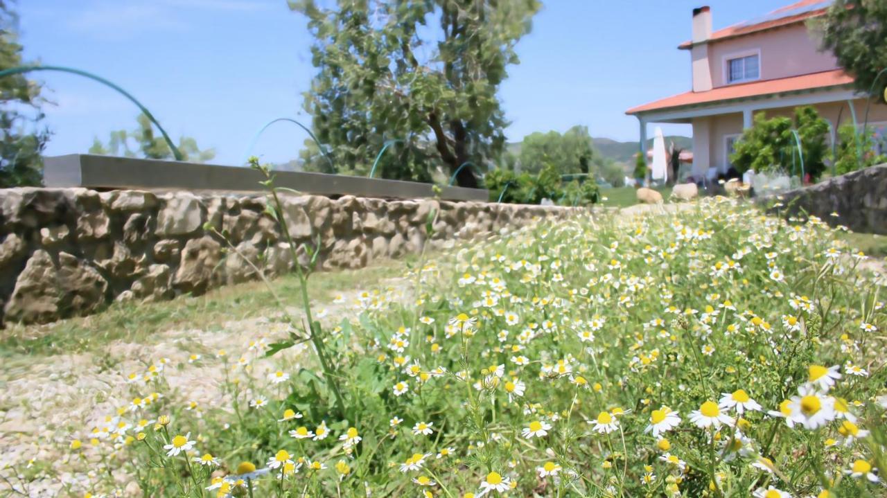 Hotel Agroturizem Bylis Hekal Exteriér fotografie