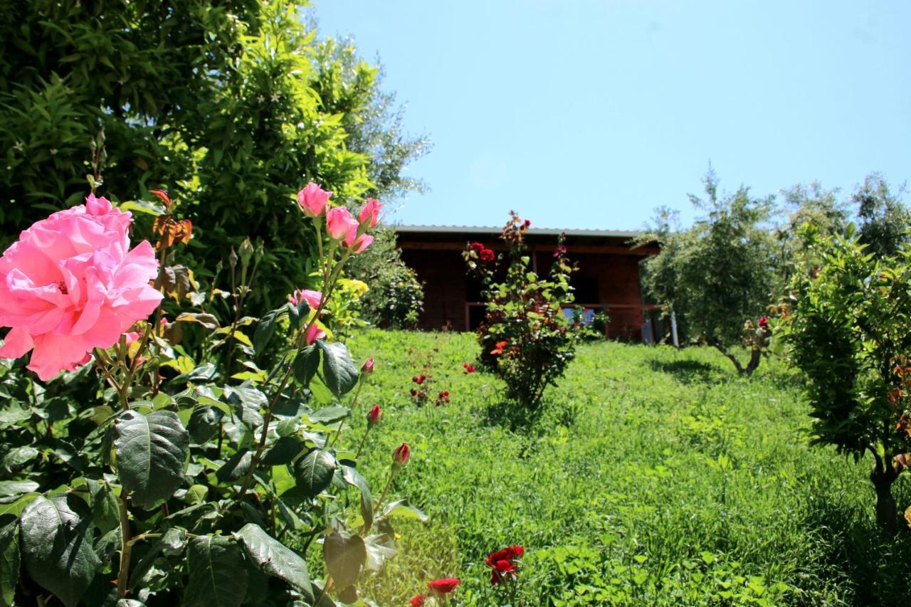 Hotel Agroturizem Bylis Hekal Exteriér fotografie